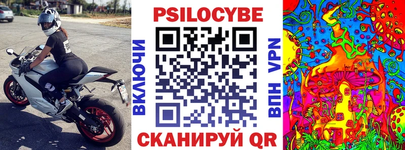купить наркотик  Омутнинск  Галлюциногенные грибы мицелий 